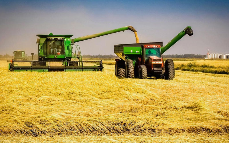 innovating-rice-production