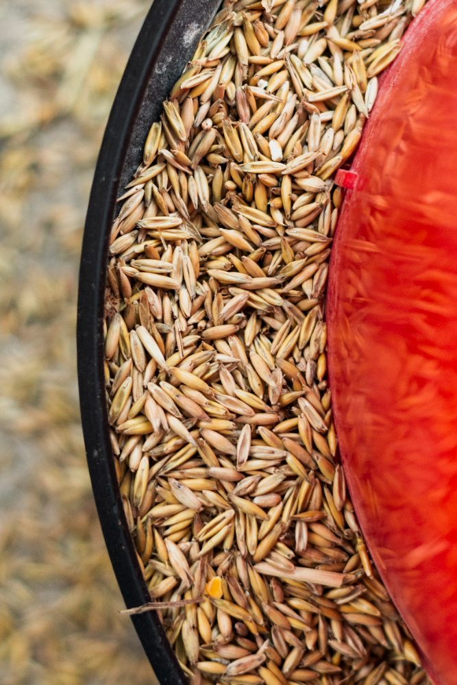 lalita-rice-mill